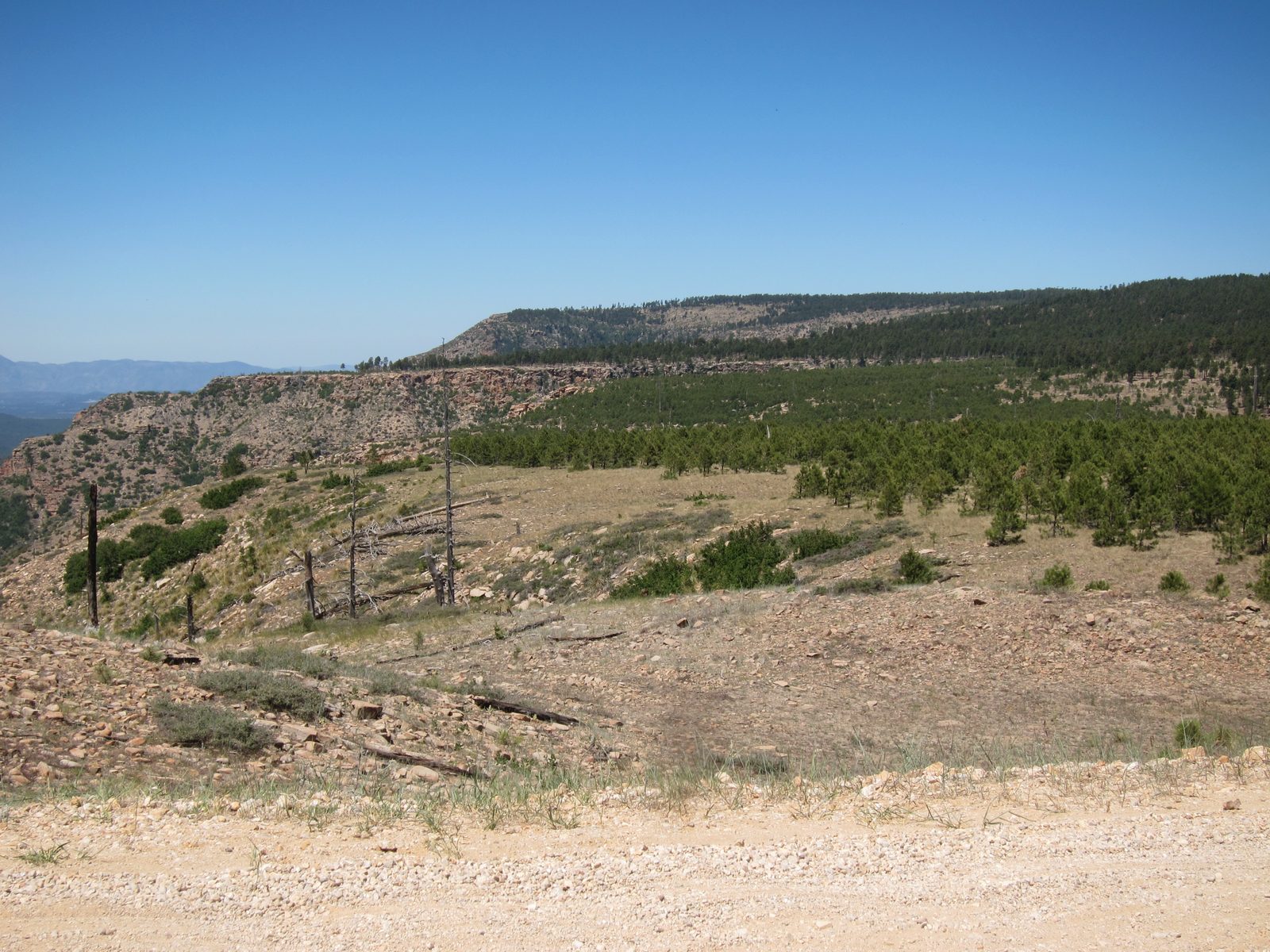 It's amazing how close to the rim the road went.